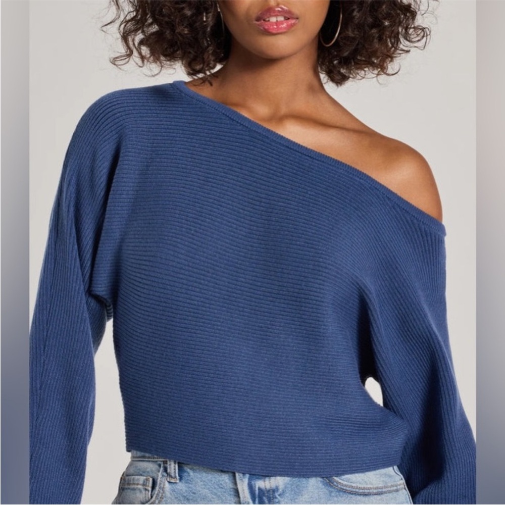 Windsor NWT navy blue sweater